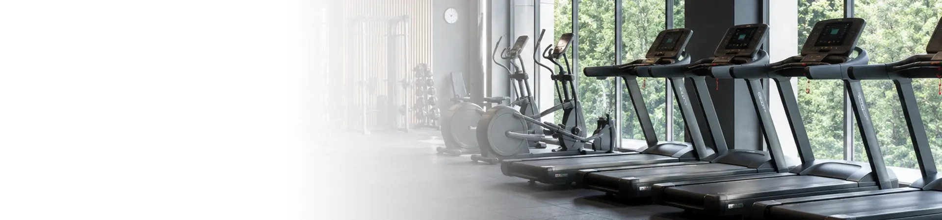Treadmills & Gym Equipment